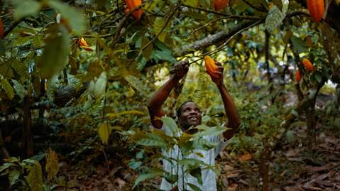 Suministro responsable