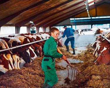 Programa de calidad en la granja Arlagården®