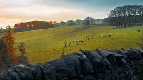 Estrategia Medioambiental