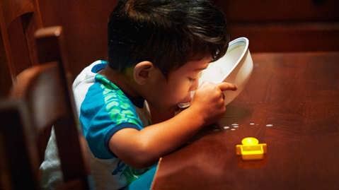 Los nutrientes de la leche