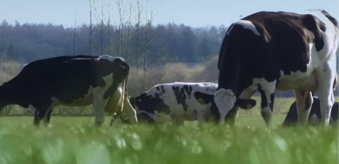 Conoce nuestros orígenes